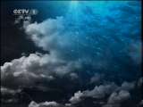 人与自然 人与自然 2010年 第118期 2011-02-21