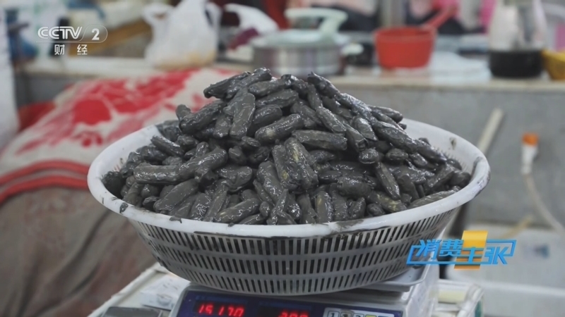 消费主张 《消费主张》 20250425 一口鲜甜醉人，蛏子新鲜上市！