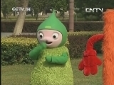 小小智慧树 《小小智慧树》 20131016