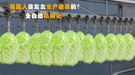 机械控 德国人是怎么制作酸菜的？全自动机械化，做出来的酸菜，好吃吗