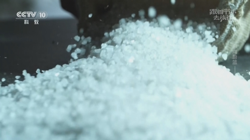 《跟着书本去旅行》 20260129 心向蔚蓝——向海而生