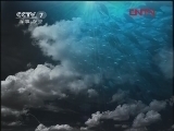 人与自然 《人与自然》 20120303 （上） 人物亲历——极地攻击（上）