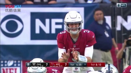 【NFL巨星风采】红雀队大卫-约翰逊第11周表现