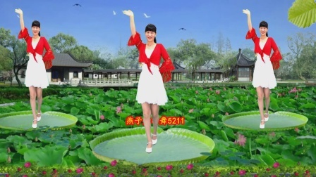 广场舞《小河淌水》纯享版，演唱：王二妮