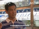 走近科学 《走近科学》 20150709 食品安全中的乱象