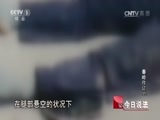 今日说法 《今日说法》 20170411 秦岭作证（下）