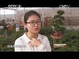 消费主张 《消费主张》 20150424 家居换装正当时——花卉摆放有讲究