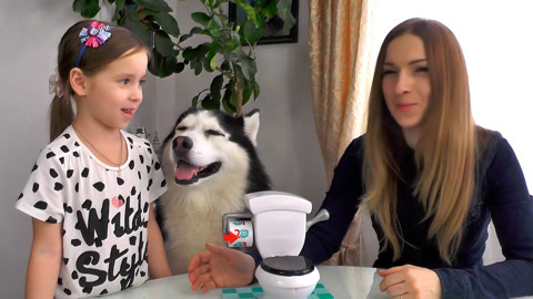 糟糕厕所挑战游戏