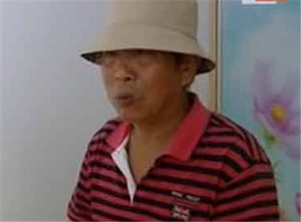 寻情记 领养风波 我的养女十九岁