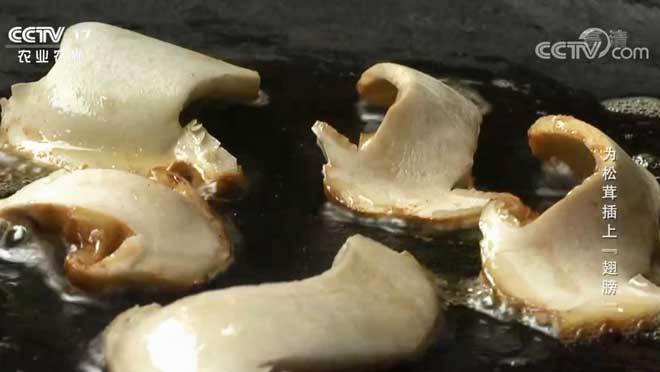 三农群英汇 《三农群英汇》 20201021 为松茸插上“翅膀”