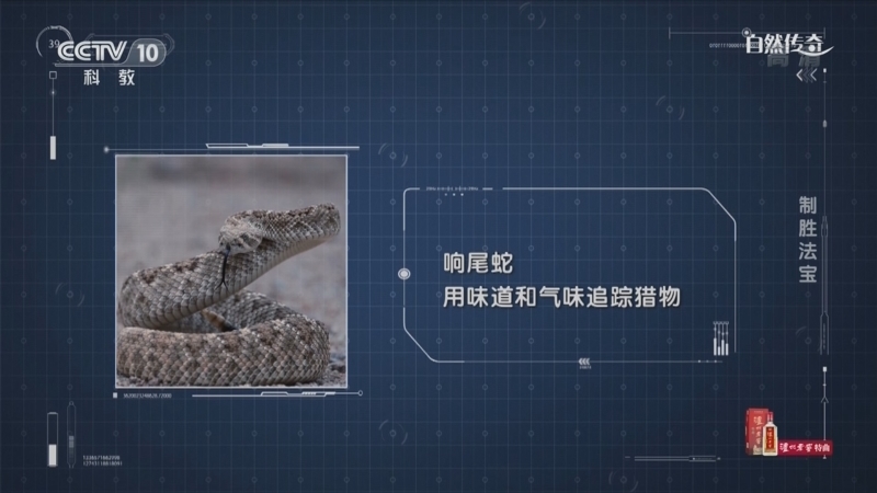 自然传奇 《自然传奇》 20220329 制胜法宝