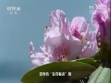 地理中国 《地理中国》 20171018 生境迷踪·雪山精灵