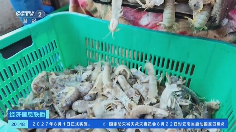 经济信息联播 《经济信息联播》 20250823
