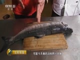 生财有道 《生财有道》 20151201 生态中国系列（边关行）：走进生态珲春（上）