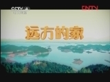 远方的家 《沿海行》第65集 荔枝之城 莆田《远方的家》 20120305