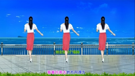 流行DJ广场舞及教学 第三季 广场舞《错过了你的温柔》32步演示分解