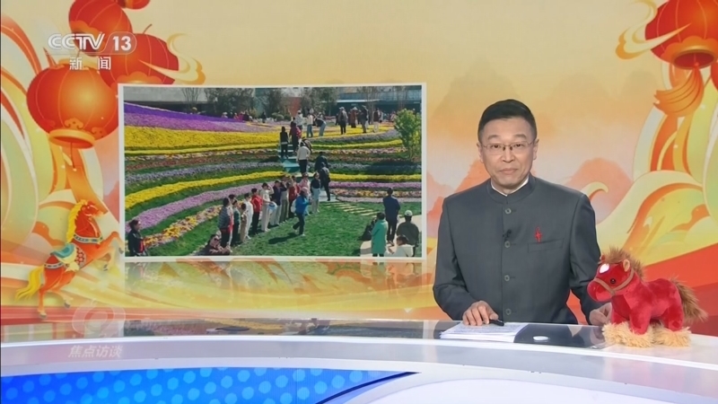 《焦点访谈》 20260219 足迹 花漾兴乡村