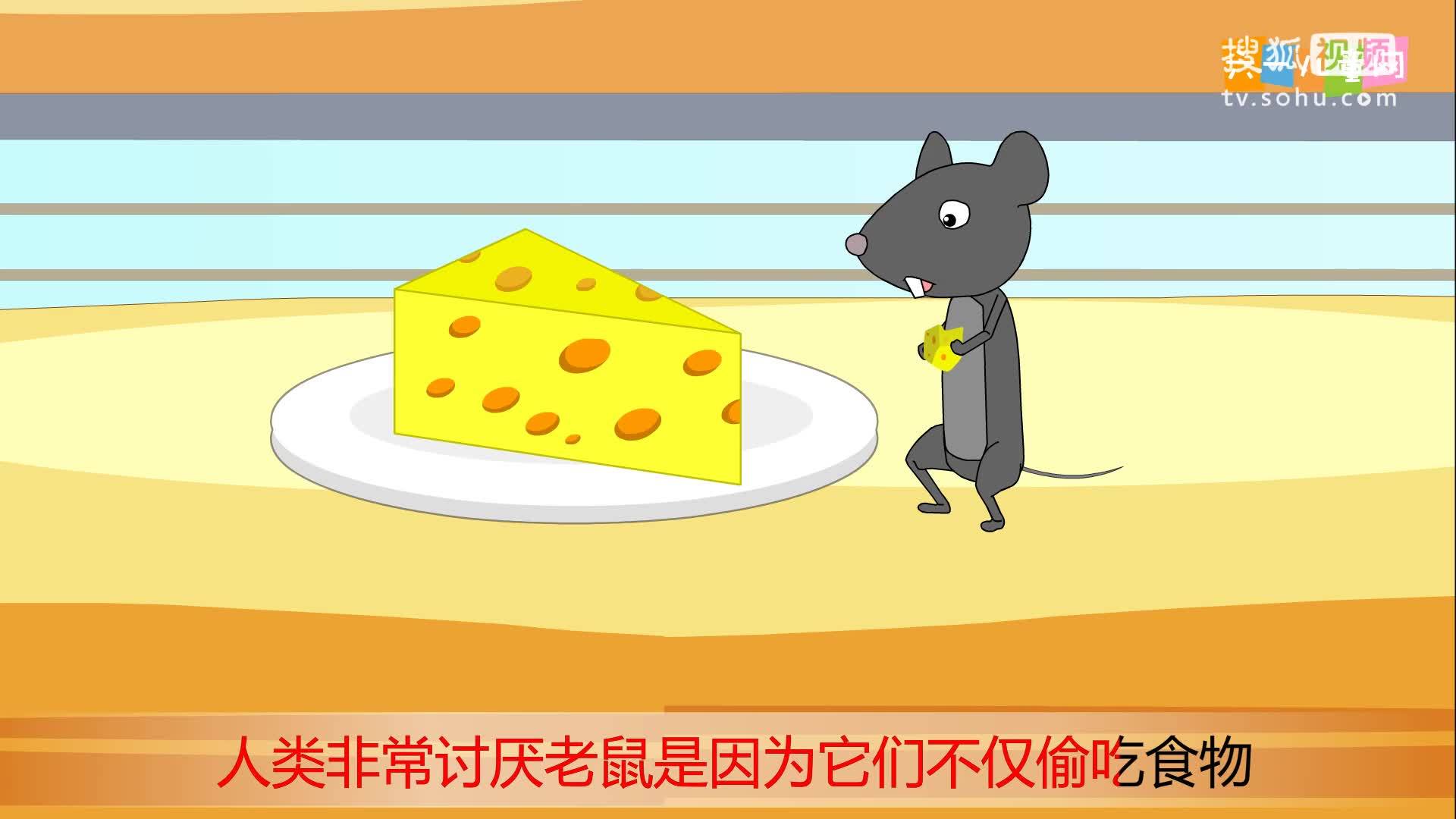 嘟拉十万个为什么 为什么老鼠爱磕木头？