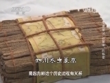 走近科学 《走近科学》 20140416 冬虫夏草之“软黄金”的秘密
