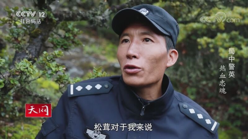 天网 《天网》 20201002 系列纪录片《蜀中警英·热血忠魂》