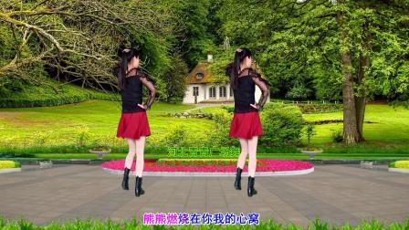 情歌DJ广场舞《情火》动感32步演示分解