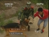 军事纪实 《军中犬霸王》 第01集 警队里的“龙哥” 高清版