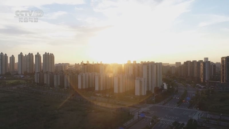 天网 《天网》 20230426 追书