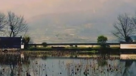 民宿里的中国 2020 徽州古建民宿之旅  体验独特的历史记忆