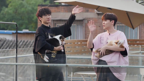 第12期下 魏大勋惊喜表白魏爸魏妈 张歆艺半个月瘦20斤成果展示