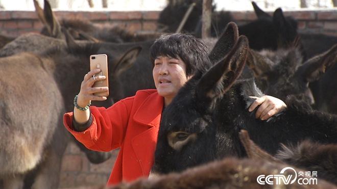 致富经 [致富经]倔强女人的倔财富 20180516