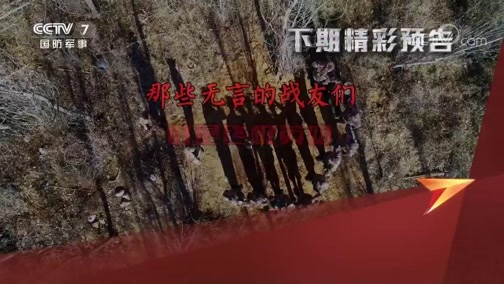 谁是终极英雄 《谁是终极英雄》 20191215 那些无言的战友们之犬王争霸