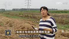 致富经 [致富经]女博士为何放弃两百万年薪 20160823