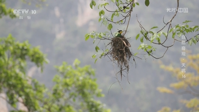 《地理·中国》 20251027 自然奇观·天坑16