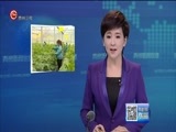 贵州新闻联播 《贵州新闻联播》 20170531