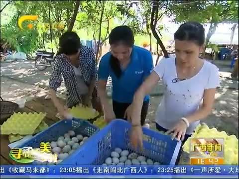 广西新闻 《广西新闻》 20141108