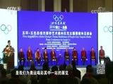 北京2022 [北京2022]20180108 多面李琰 冬奥会邮票概览