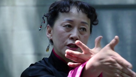 南拳之套路三讲解