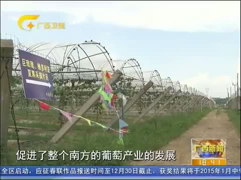 广西新闻 《广西新闻》 20141121