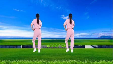 流行DJ广场舞及教学 第三季 动感DJ健身舞《不爱就散一别两宽》演示分解