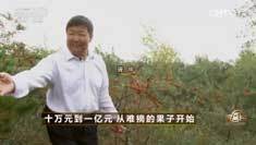 致富经 [致富经]十万元到一亿元 从难摘的果子开始 20161116