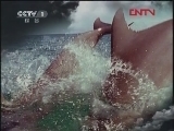 我们的地球 不尽长河 自然发现 我们的地球 从北极到南极（下）[人与自然]