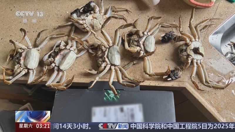 《新闻直播间》 20251206 03:00