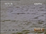 生财有道 《生财有道》 20131106 赤脚药农的财富路