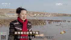 致富经 [致富经]泼辣媳妇赶鸭下海 20161226