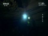 地理中国 《地理中国》 20170720 湘西秘境·虎洞生灵