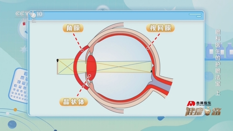 《健康之路》 20250606 眼科医生的护眼法宝（上）