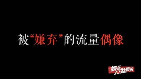 娱乐猛回头 被“嫌弃”的流量偶像？
