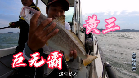 傍晚黄三狂咬，咬钩的都是黄三家族的巨无霸，这样的海钓你心动吗