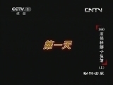 动物世界 《动物世界》 20130616 360度揭秘狮子生活（上）