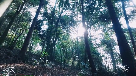 二更视频 逃离北上广算什么? 这个男人把诗和远方变成了自己的家 523
